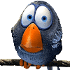 user posted image