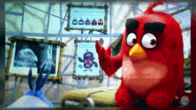 user posted image