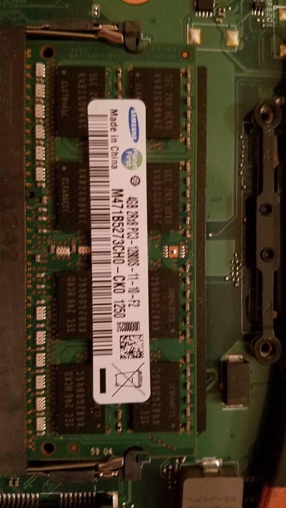 user posted image