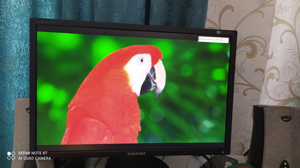 user posted image