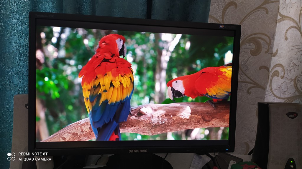 user posted image