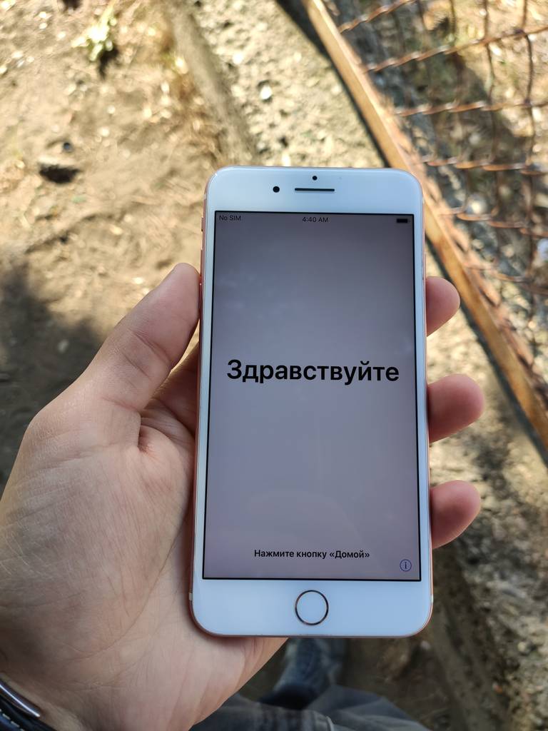 user posted image