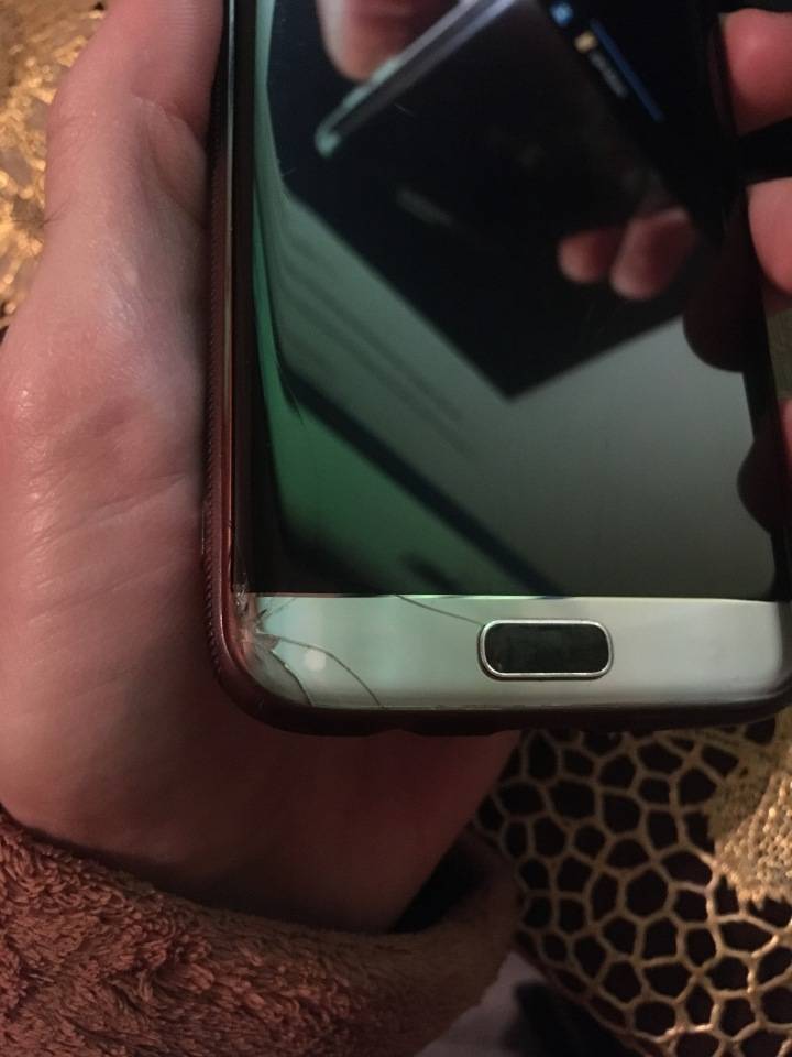 user posted image