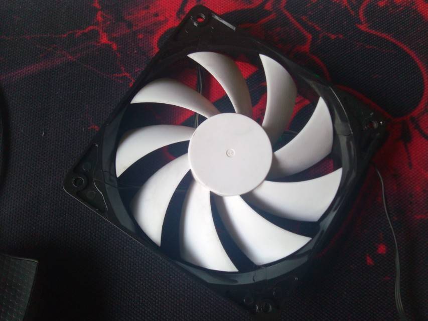 user posted image