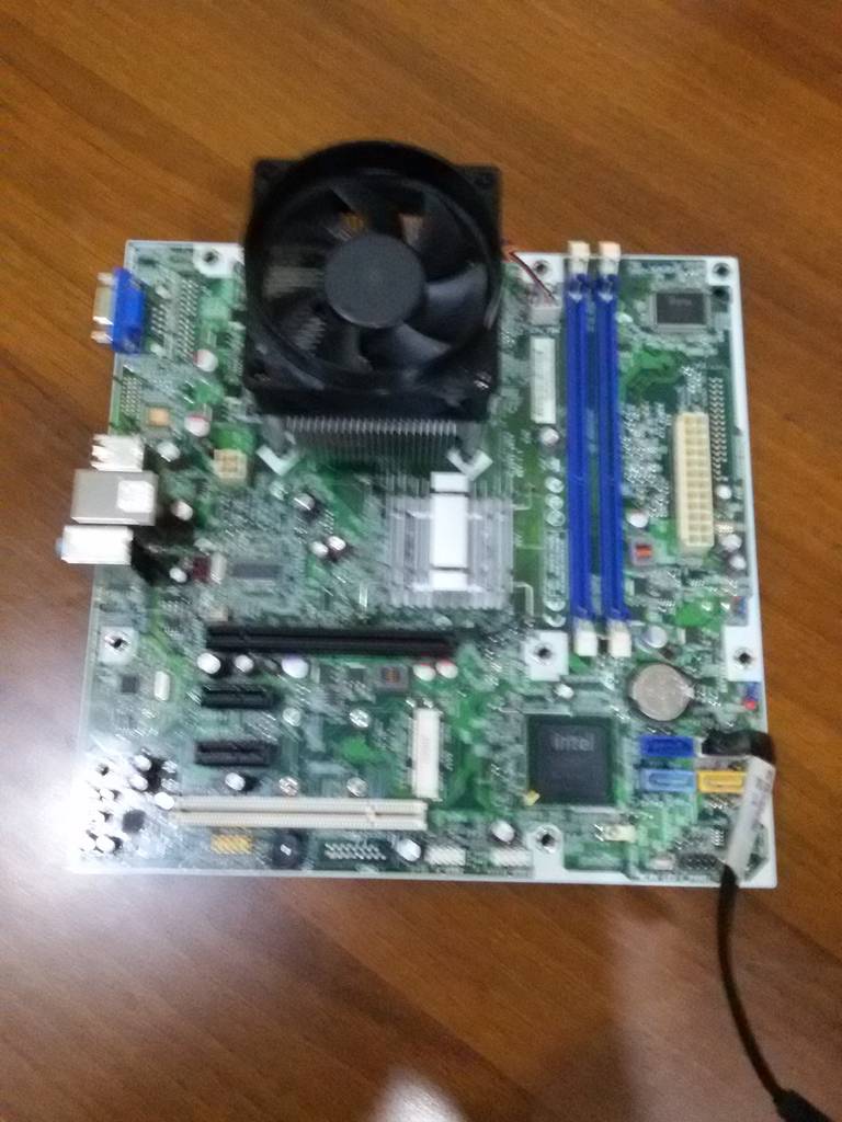 user posted image