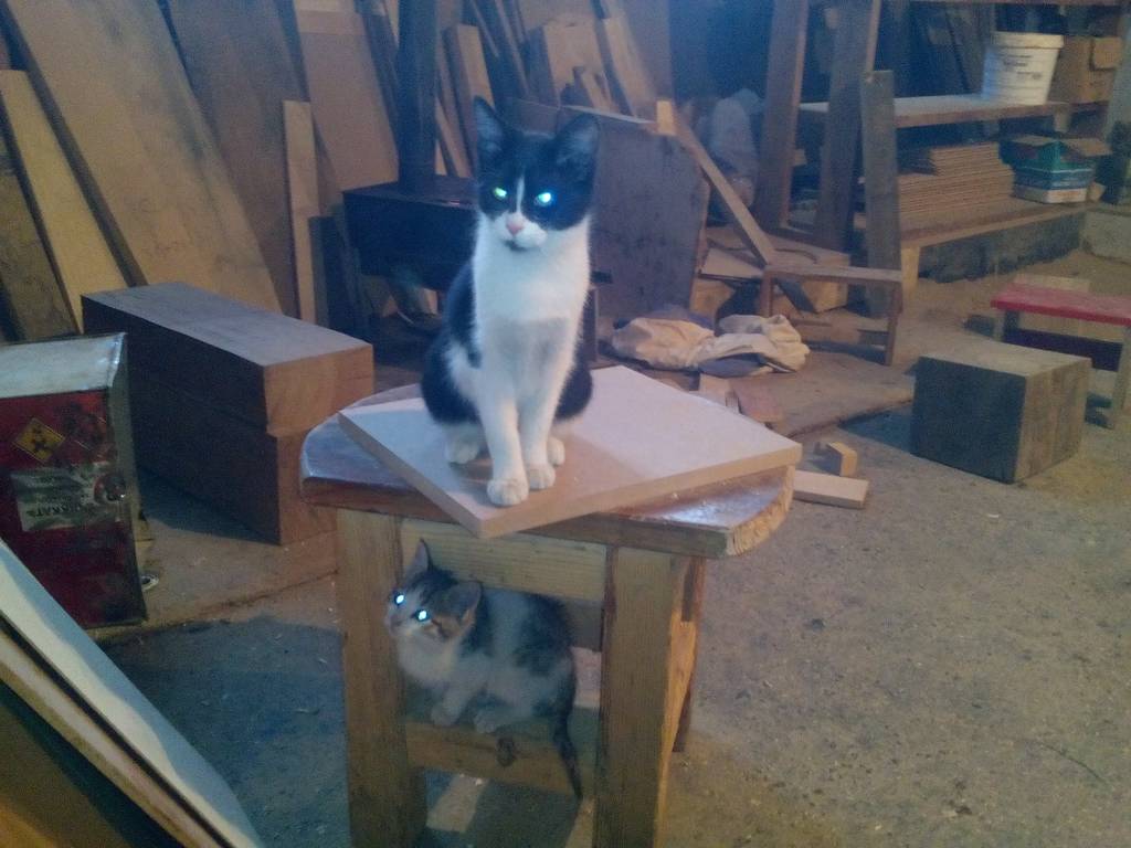 user posted image