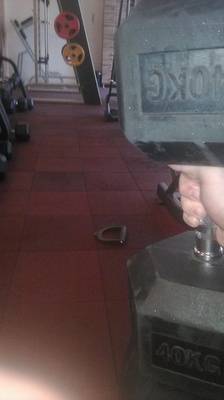 user posted image