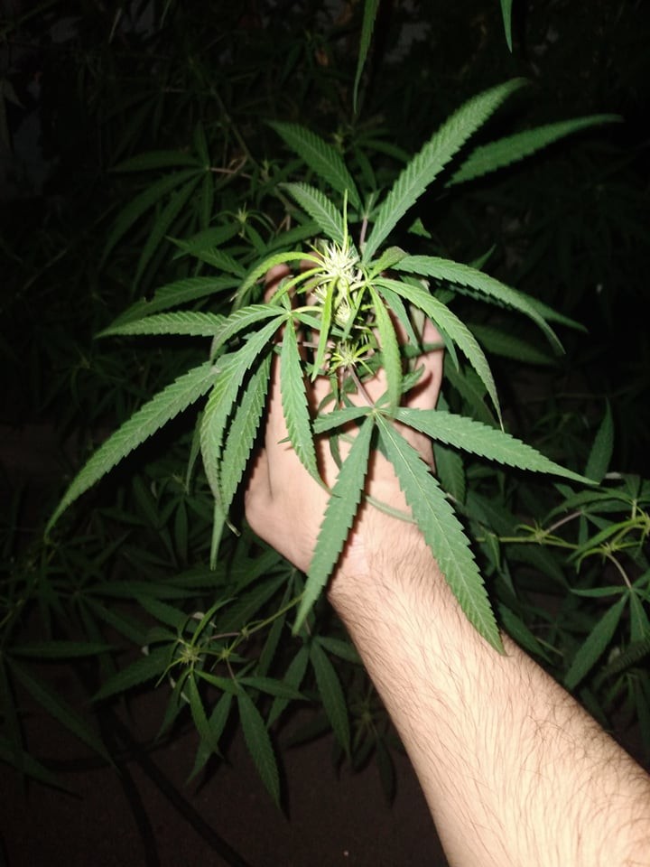 user posted image