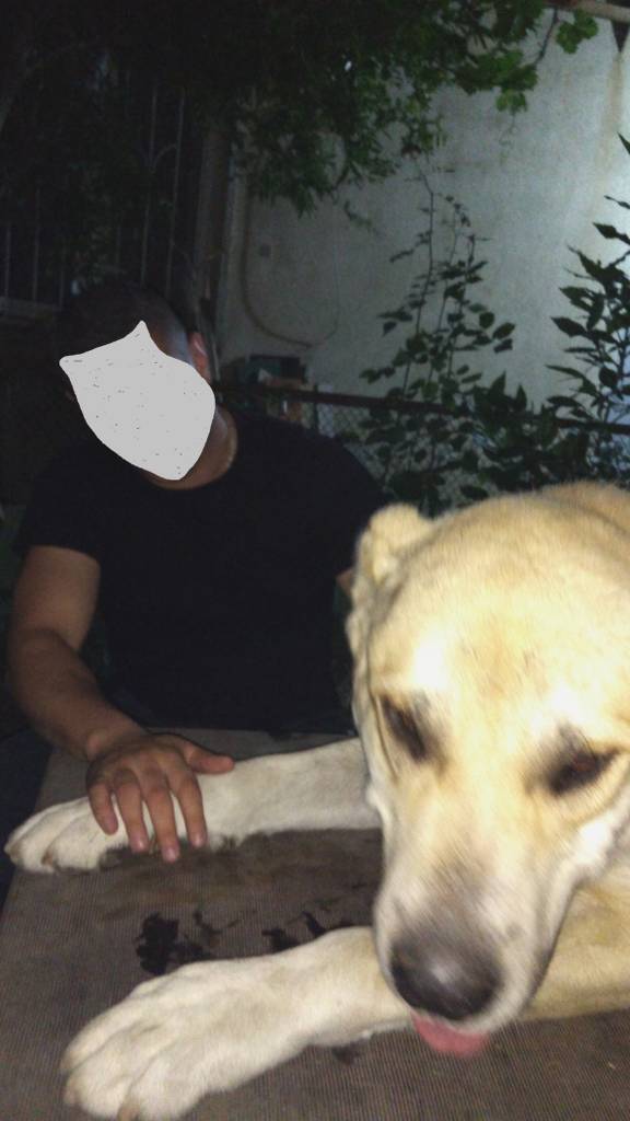 user posted image