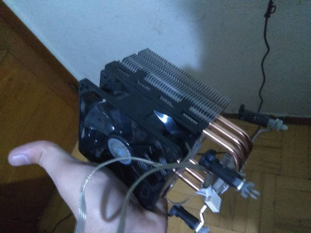 user posted image