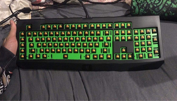 user posted image
