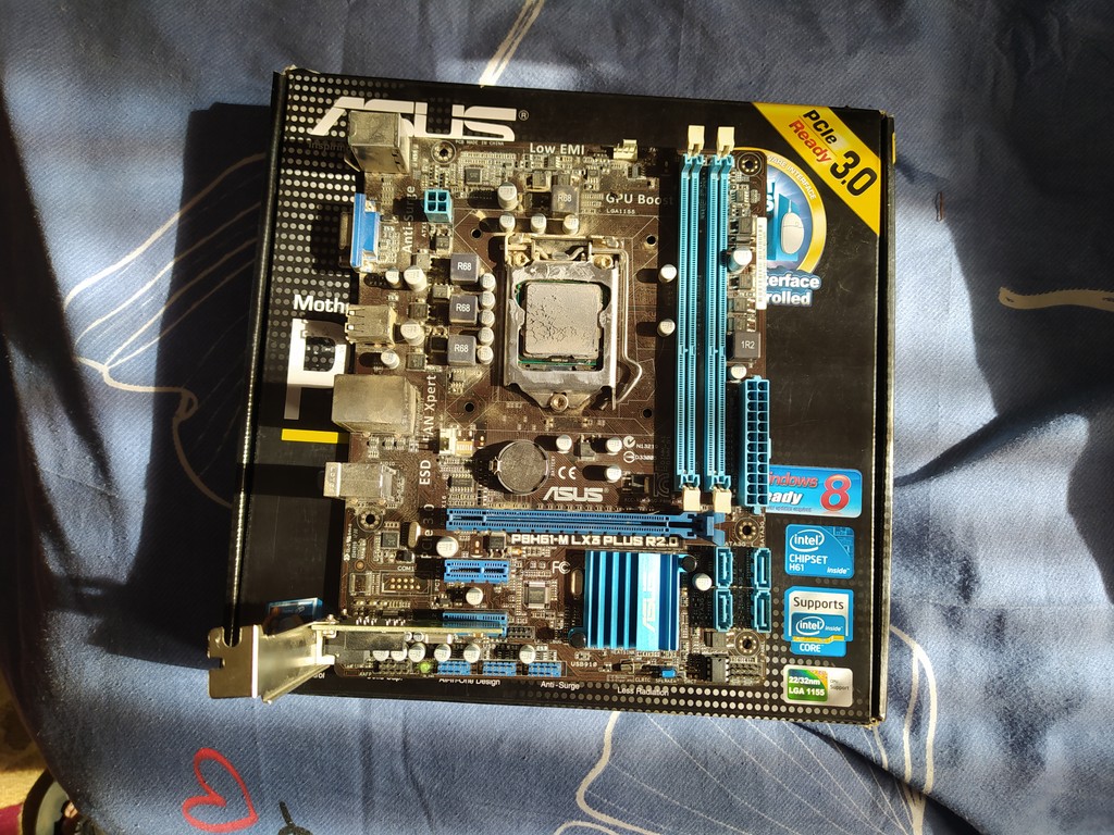 user posted image