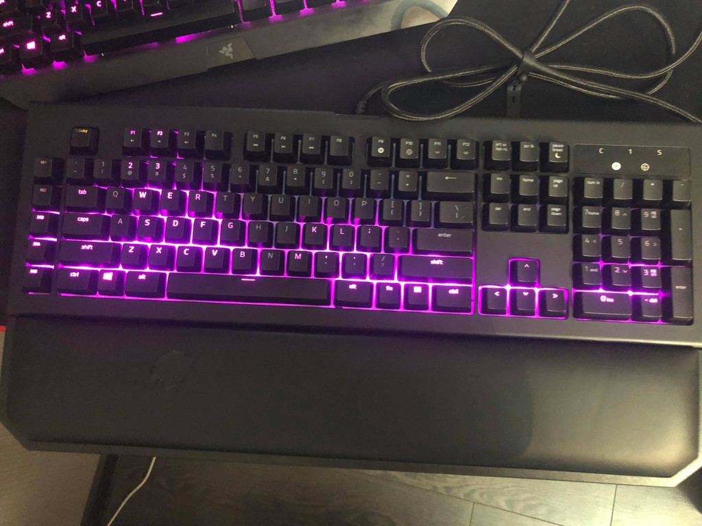 user posted image