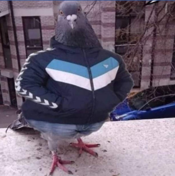 user posted image