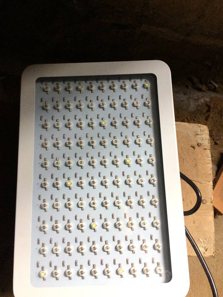 user posted image