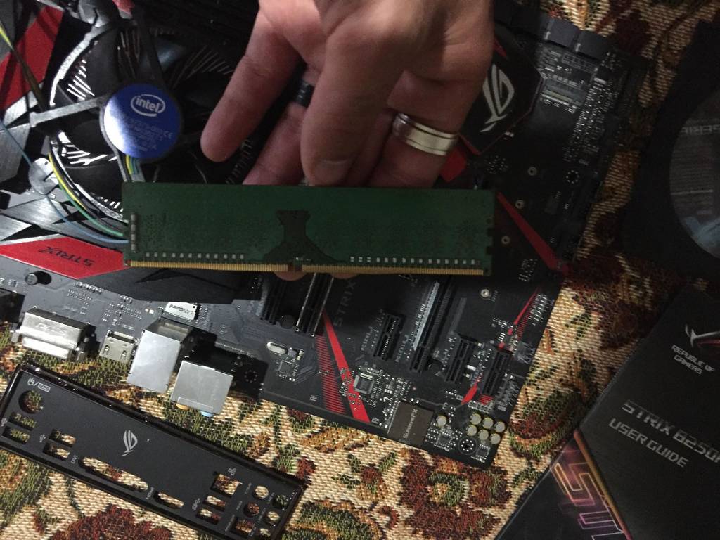 user posted image