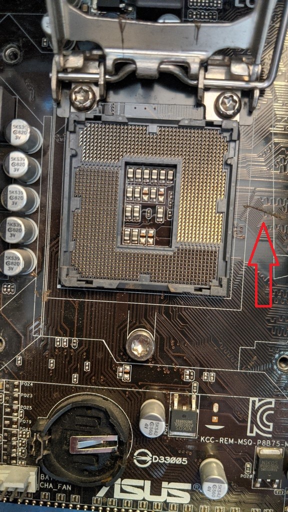 user posted image
