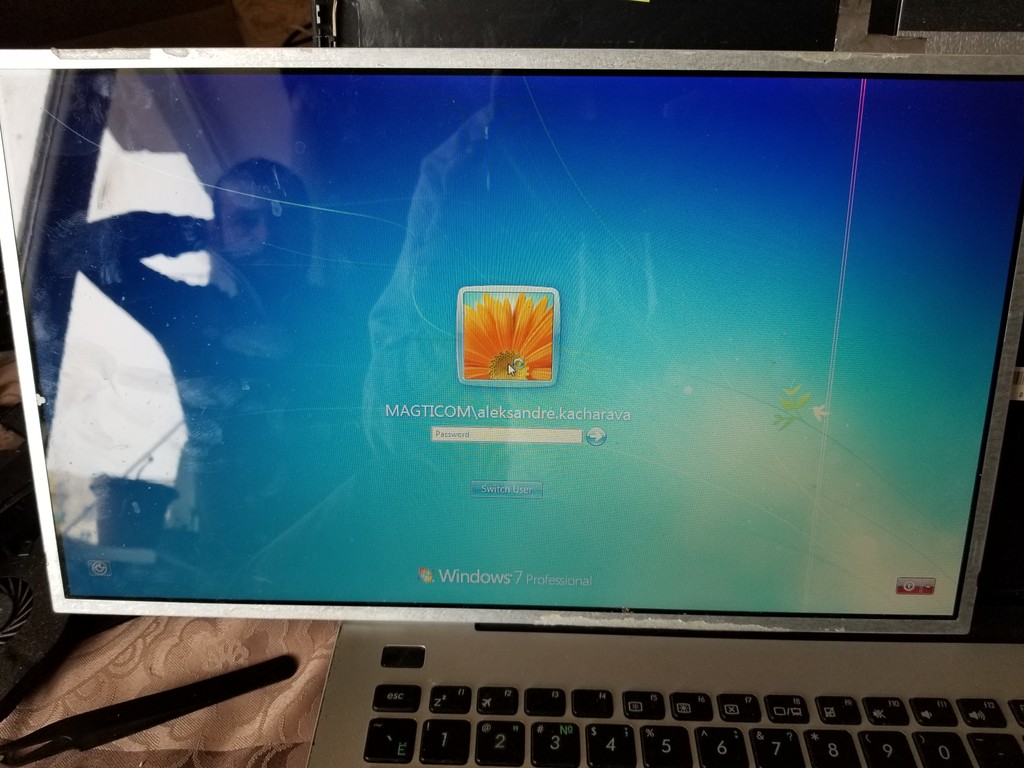 user posted image