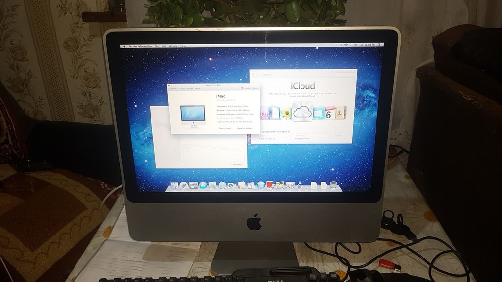 user posted image