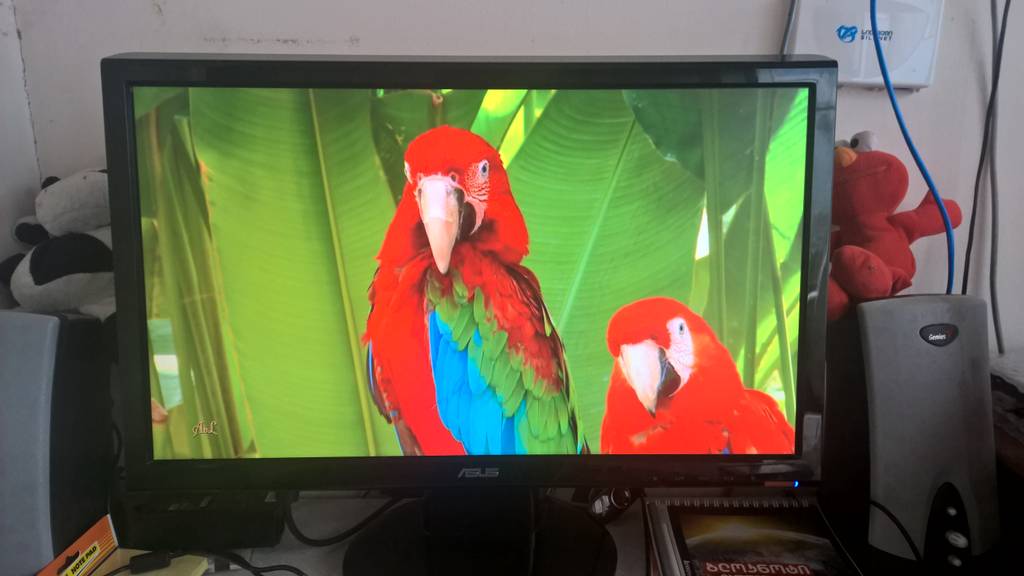 user posted image