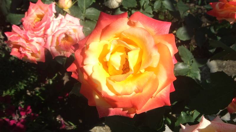 user posted image