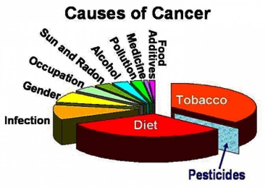 What Causes Dickcheese