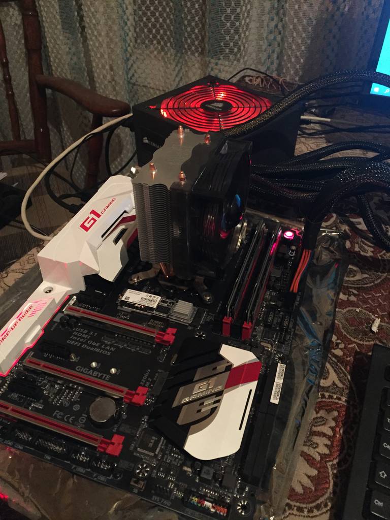 user posted image