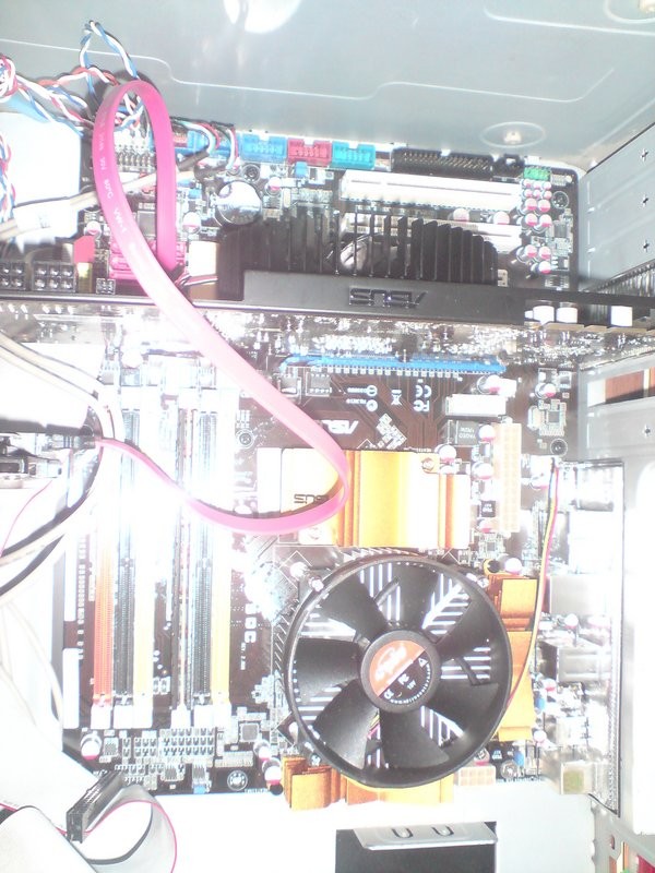 user posted image