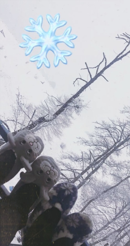 user posted image