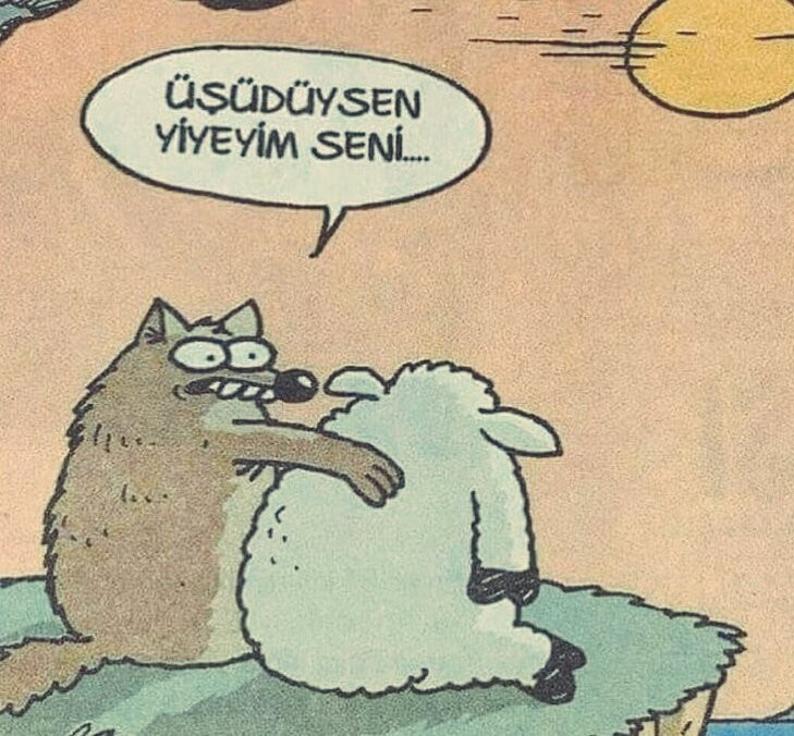 user posted image