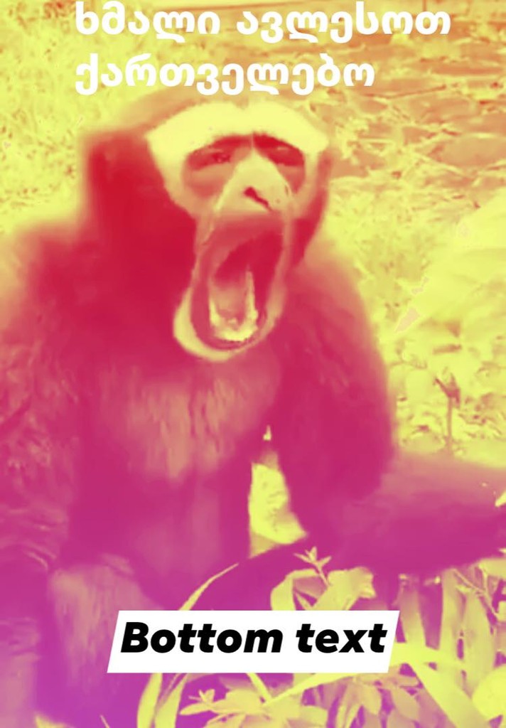 user posted image