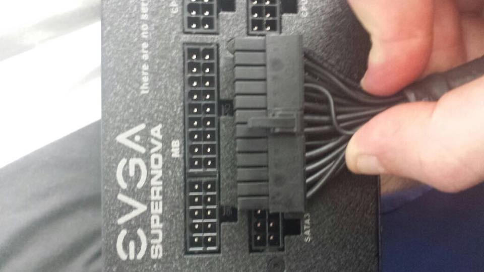 user posted image
