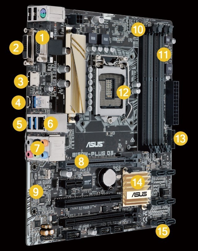 user posted image