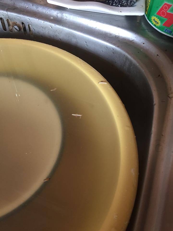user posted image