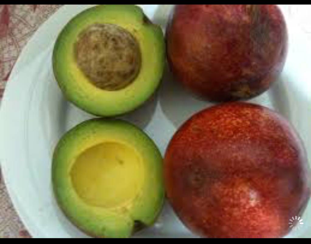 U.S.: California expecting smallest avocado crop in a decade - FreshFruitPortal.