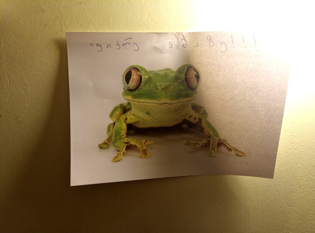 user posted image