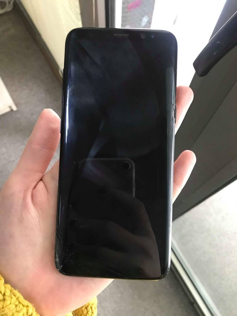 user posted image