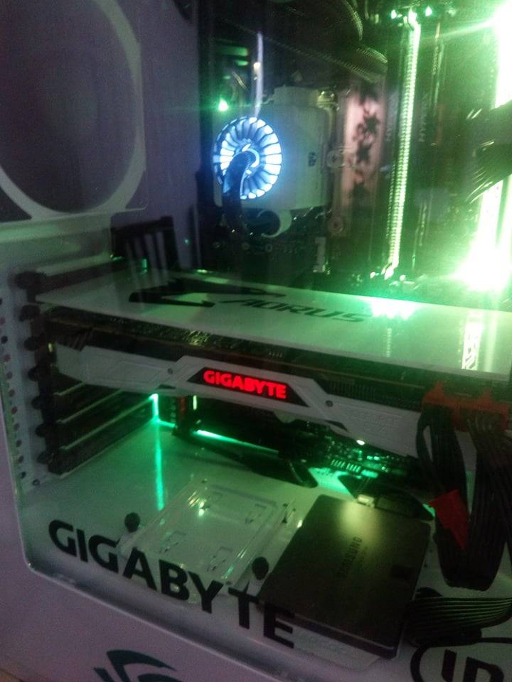 user posted image