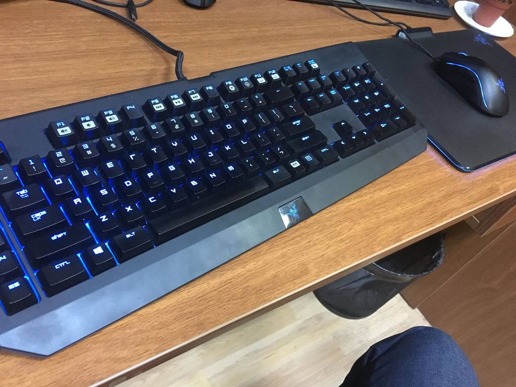 user posted image