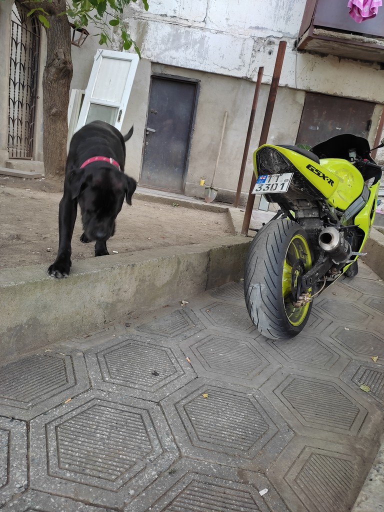 user posted image