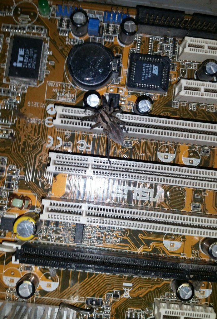user posted image