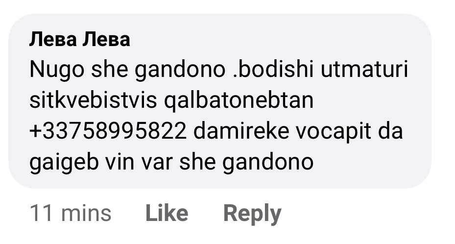 user posted image