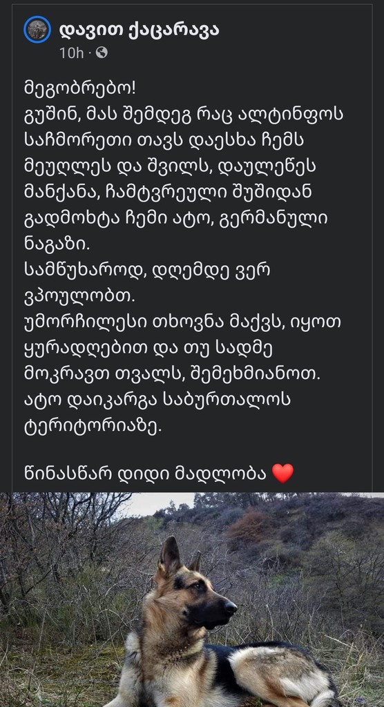 user posted image