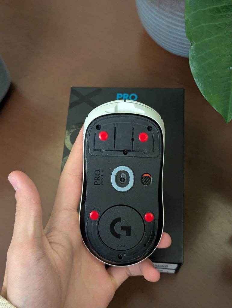 user posted image
