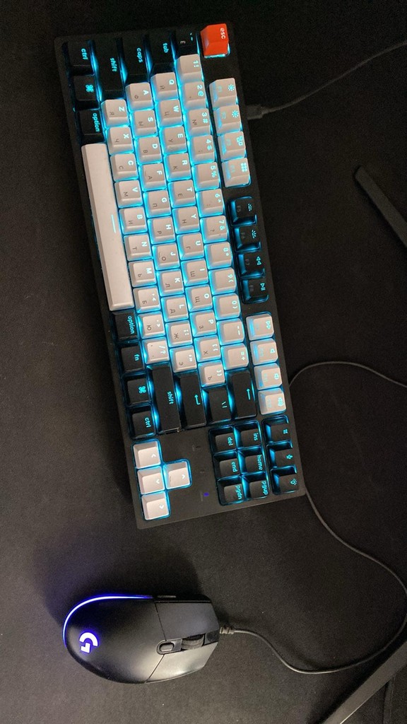 user posted image