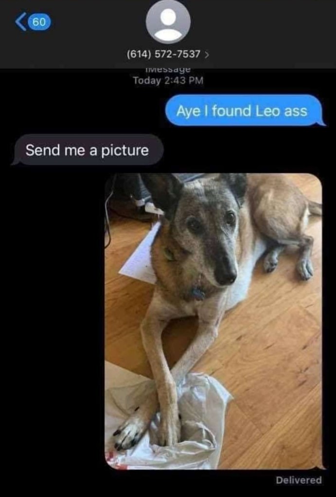 user posted image