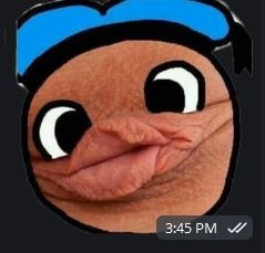 user posted image