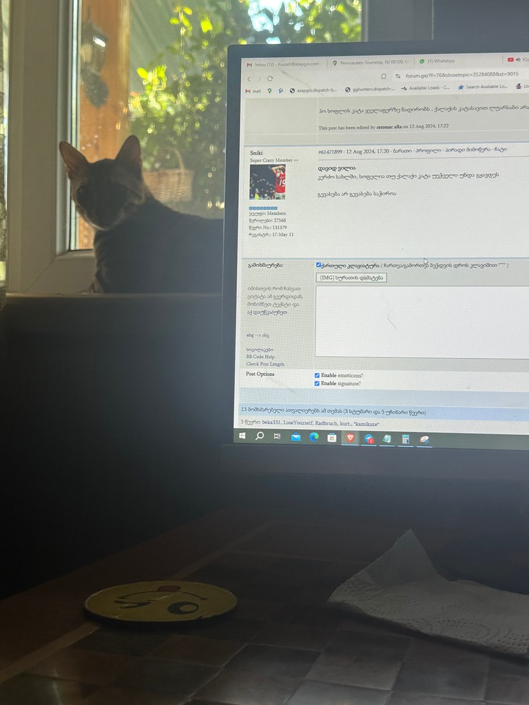 user posted image