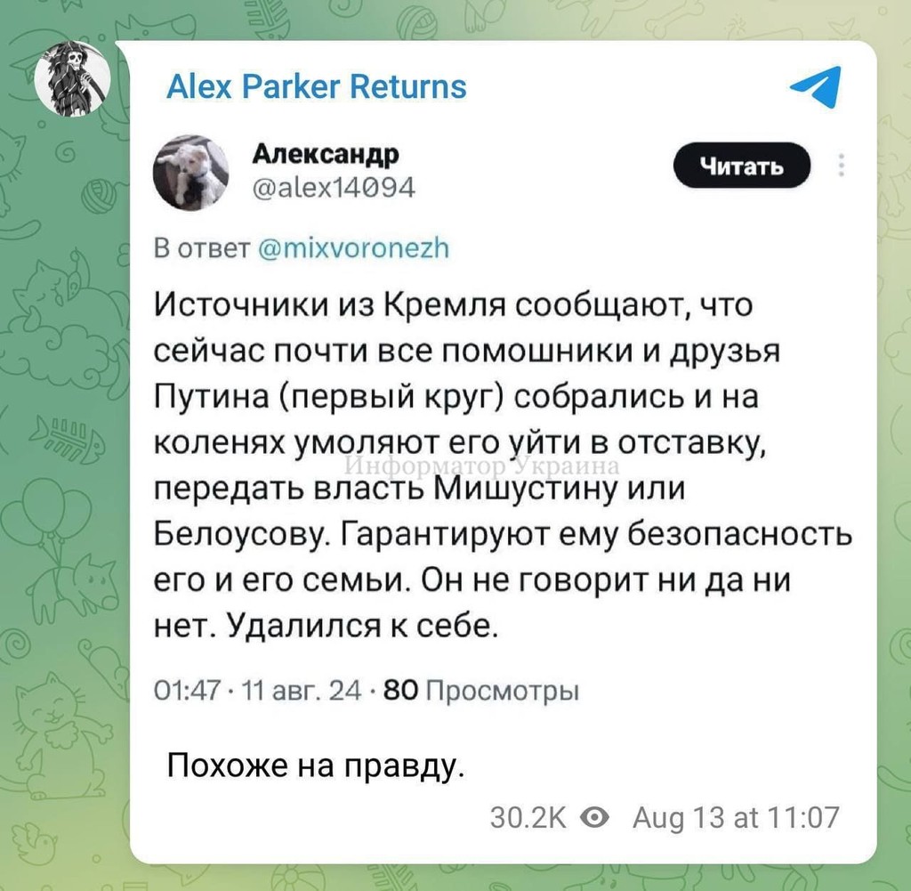 user posted image