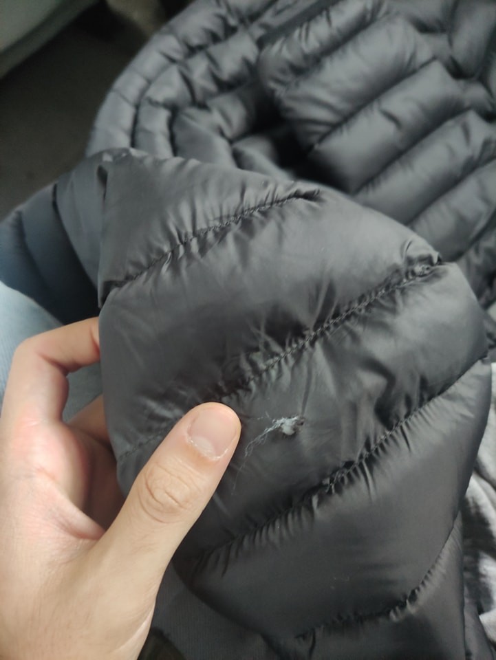user posted image